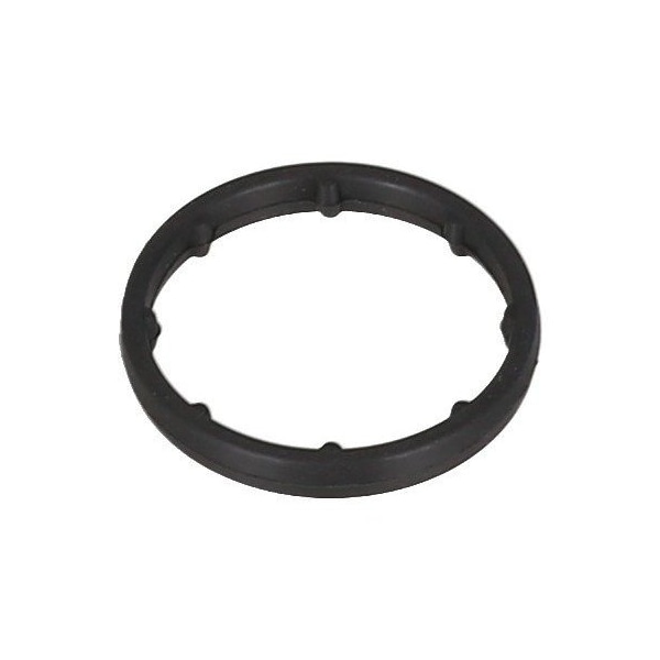 GASKET OIL COOLER